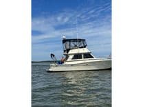 Saltwater Gospel - VIKING