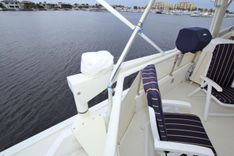 Big Brown 1989 price