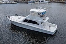 Лучшая цена на Bambooshay II 53