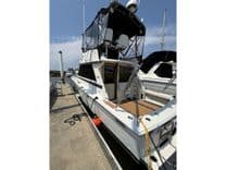 Лучшая цена на Saltwater Gospel