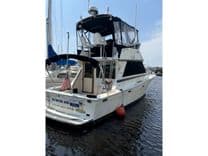 Лучшая цена на Saltwater Gospel 35