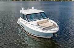 Купить LITTLE STAR - Regal