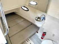 Лучшая цена на Forever Intrepid