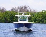 Продажа яхты Lions Den - Boston Whaler