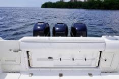 Lions Den - Boston Whaler