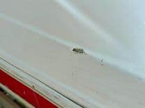 Купить яхту 019 Hurricane SunDeck SS201 NLFH 2019 в Shestakov Yacht Sales