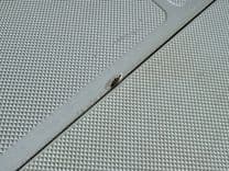 Лучшая цена на 019 Hurricane SunDeck SS201 NLFH