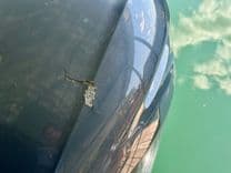 Купить яхту 019 Hurricane SunDeck SS201 NLFH Sun Deck SS 201 OB в Shestakov Yacht Sales