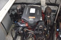 the best price on Polly Wog - RINKER