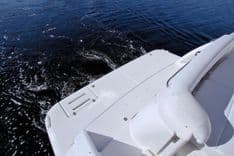 The Adventure - Tiara