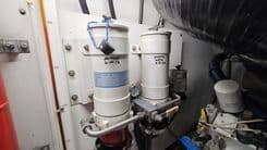 Dream Team XIII - NEPTUNUS