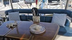 Dream Team XIII 56 Flybridge yacht sale