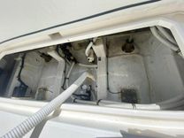 Tropical High 33 price