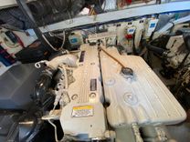 Tropical High 35 price