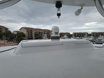 MARY ROSE 2006 price