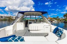 Endless Summer 60 price