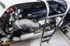 Irish Lady 2020 price