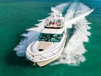 Irish Lady 2020 price