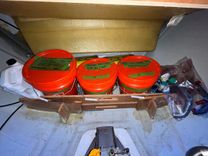 Продажа яхты Stray Cats - Lagoon