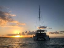 Лучшая цена на Stray Cats - Lagoon