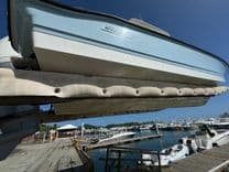 250 Dauntless - Boston Whaler