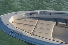 250 Dauntless - Boston Whaler price