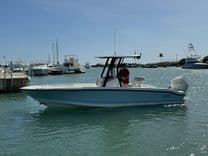 Buy a yacht 250 Dauntless - Boston Whaler
