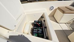 Купить яхту 2022 Scout 175 Sport Dorado 17 в Shestakov Yacht Sales