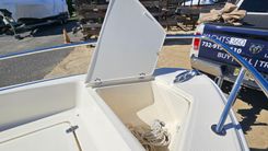 2022 Scout 175 Sport Dorado 175 Sport Dorado