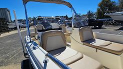 Лучшая цена на 2022 Scout 175 Sport Dorado 2022