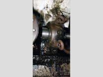 Buy a 1967 BLOUNT CUSTOM TRAWLER at Shestakov Yacht Sales