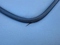 Buy a 2019 Monterey 278 SS KNX at Shestakov Yacht Sales