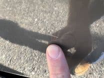 2019 Monterey 278 SS KNX 26 yacht sale