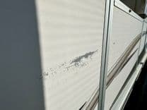 Лучшая цена на 08 Manitou Legacy 24 Tritoon NLDF 2008