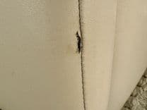 Лучшие предложения покупки яхты 08 Manitou Legacy 24 Tritoon NLDF Legacy 24 Tritoon