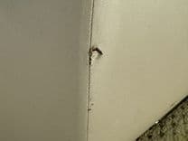 Купить 08 Manitou Legacy 24 Tritoon NLDF 2008