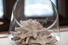 Buy a yacht DRAKKAR Evolution