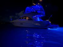 Лучшая цена на SOMEDAY CAME