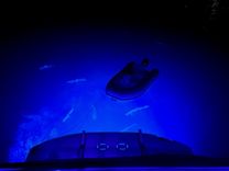 Лучшие предложения покупки яхты SOMEDAY CAME - SEA RAY