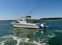 Seanior Moment 39 price