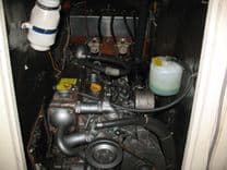 Лучшая цена на Linda Rose 37