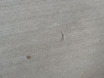 019 Harris Solstice 220 CWDH NLSR yacht sale