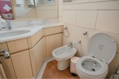 Купить PARSLEY AKHIR 125