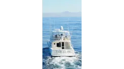 Mikelson 50 Luxury SF price