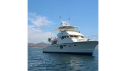 Mikelson Nomad 5962 Nomad price