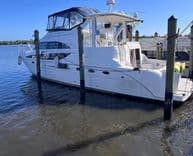 Лучшая цена на ELEGANT LADY