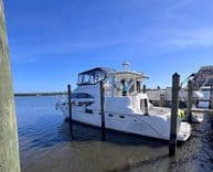 Купить ELEGANT LADY - Meridian