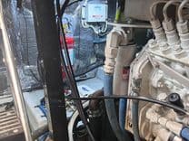 Лучшая цена на ELEGANT LADY 45