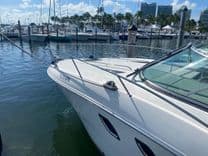 Купить Sea Ray 310 Sundancer