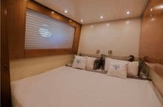 Ocean Delta 11 price